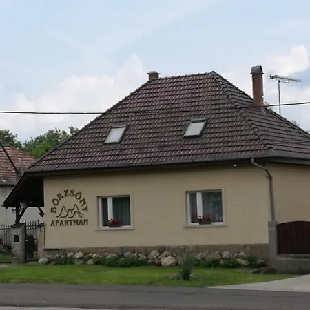 Boerzsoeny *